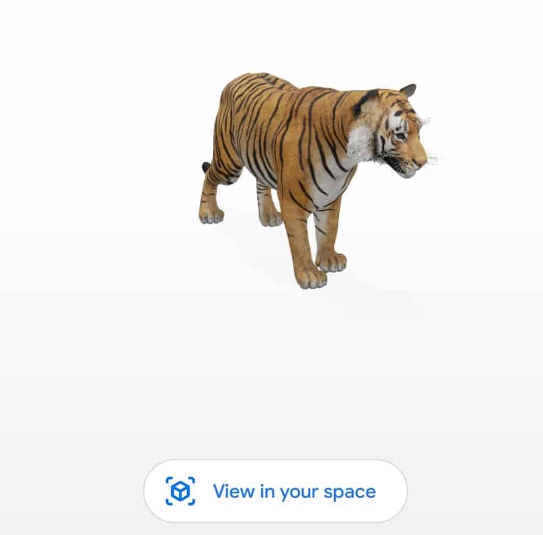 List of 3D AR Animals in Google (3D Tiger) — Waftr.com