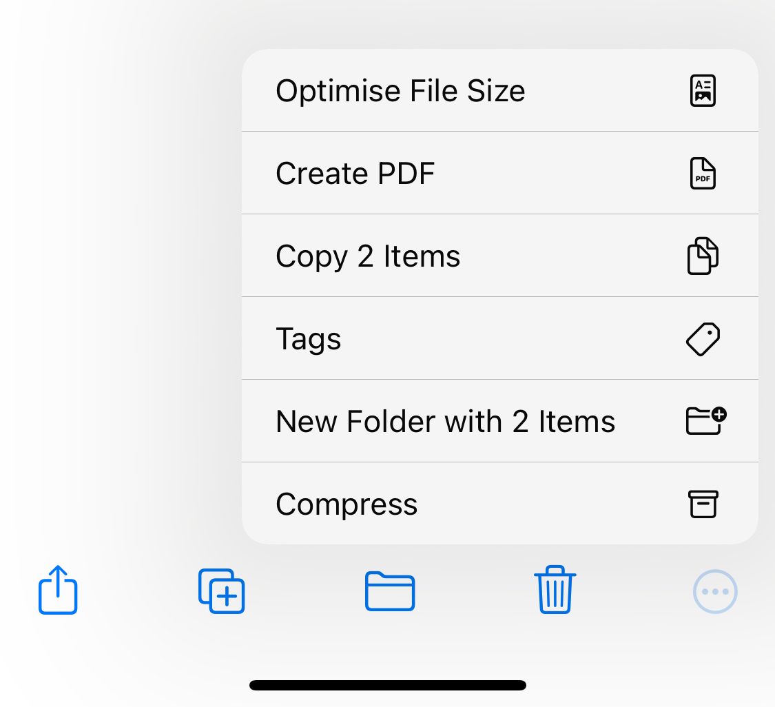 Create PDF Option